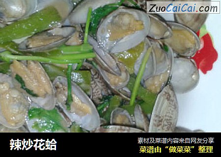 辣炒花蛤