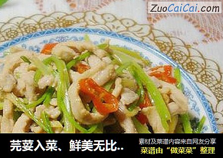 芫荽入菜、鲜美无比------【芫荽肉丝小炒】