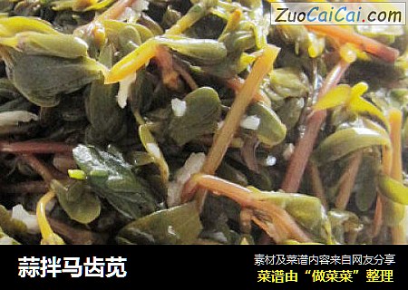 蒜拌马齿苋