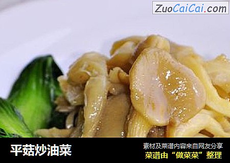 平菇炒油菜