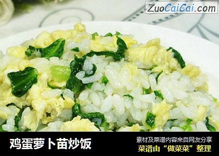 鸡蛋萝卜苗炒饭