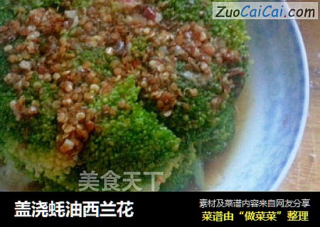 盖浇蚝油西兰花