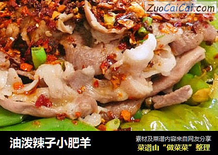 油泼辣子小肥羊