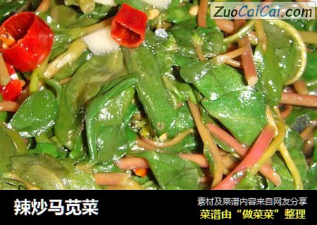 辣炒马苋菜