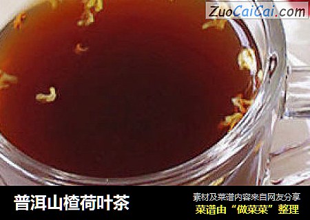 普洱山楂荷叶茶