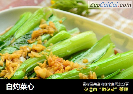 白灼菜心