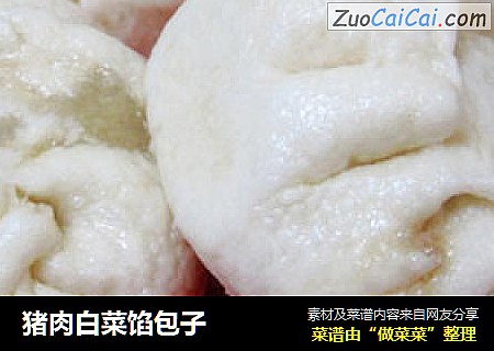 猪肉白菜馅包子