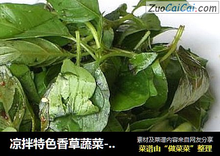 凉拌特色香草蔬菜---荆芥