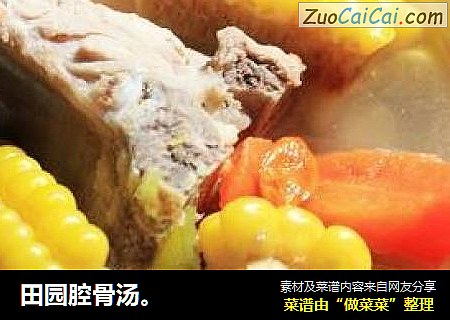 田园腔骨汤。