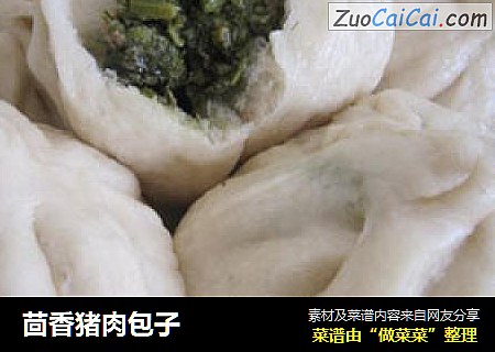 茴香猪肉包子