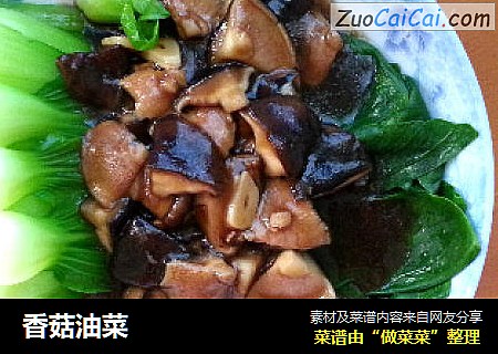 香菇油菜