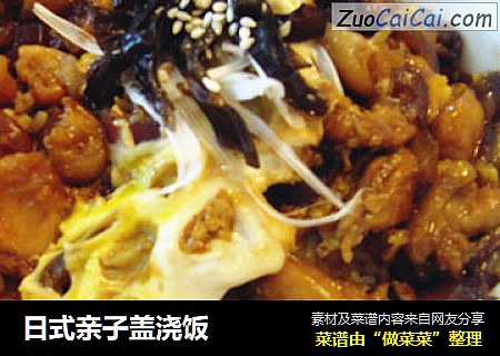 日式亲子盖浇饭