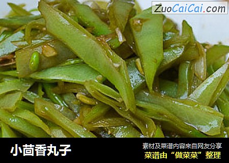 小茴香丸子