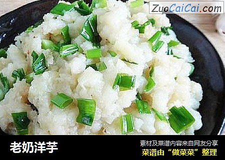 老奶洋芋