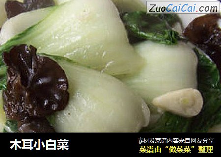 木耳小白菜