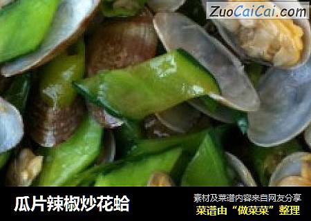 瓜片辣椒炒花蛤
