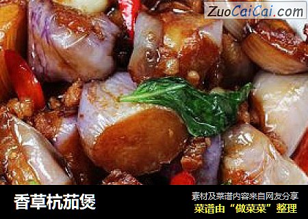 香草杭茄煲