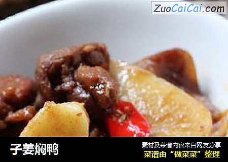 子姜焖鸭