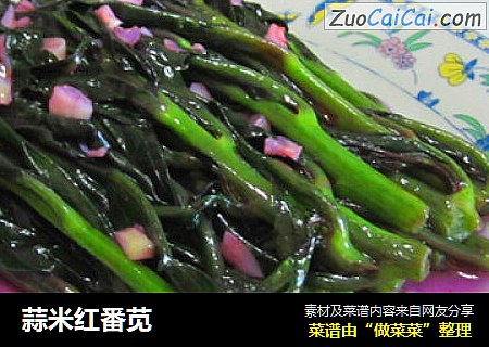 蒜米红番苋