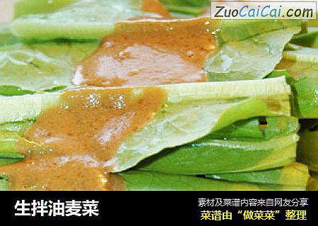 生拌油麦菜