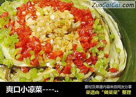 爽口小凉菜--------【蒜蓉手撕茄条】