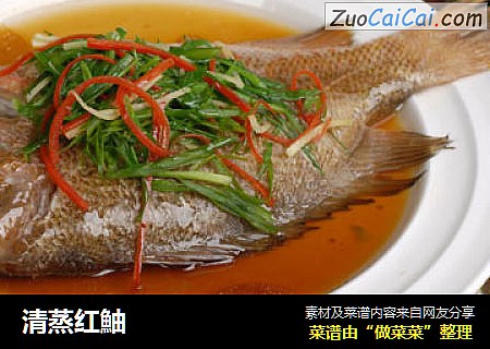 清蒸红鮋