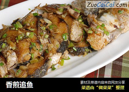 香煎追鱼