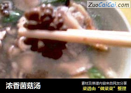浓香菌菇汤