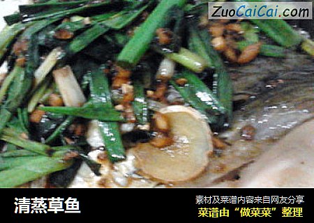 清蒸草鱼
