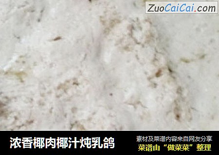 浓香椰肉椰汁炖乳鸽