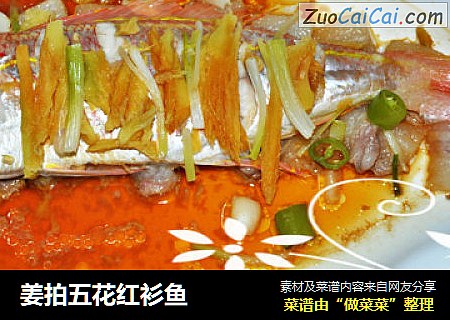 姜拍五花红衫鱼