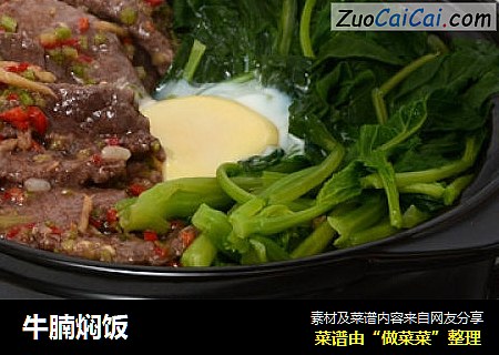 牛腩焖饭