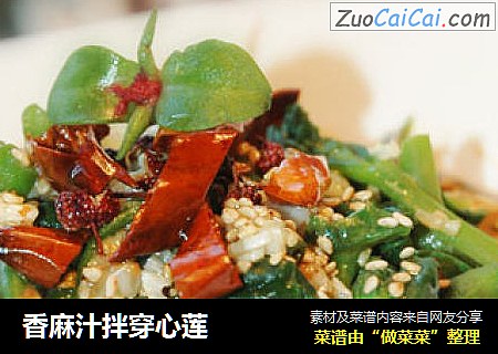 香麻汁拌穿心莲