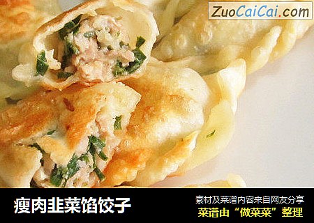 瘦肉韭菜馅饺子