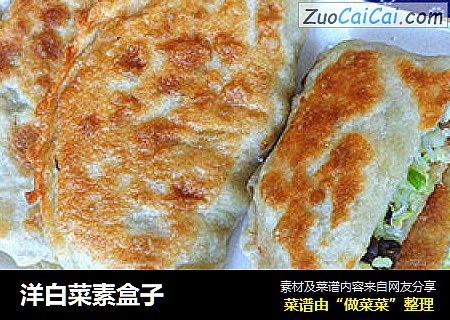 洋白菜素盒子