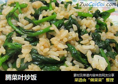 腾菜叶炒饭