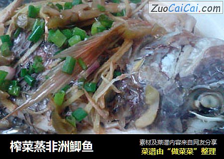 榨菜蒸非洲鲫鱼