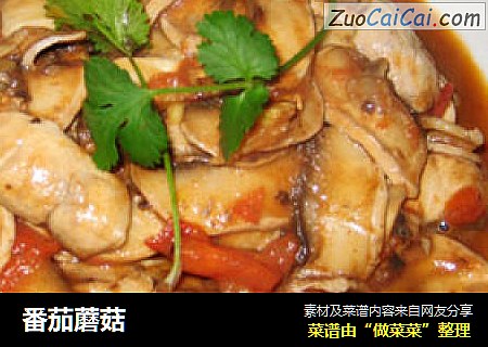 番茄蘑菇
