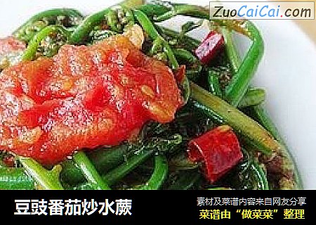 豆豉番茄炒水蕨