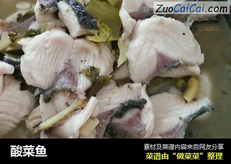 酸菜鱼