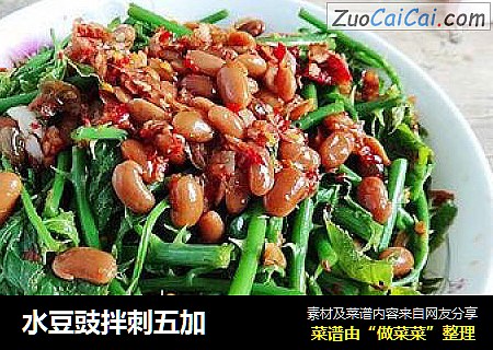 水豆豉拌刺五加
