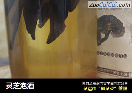 灵芝泡酒