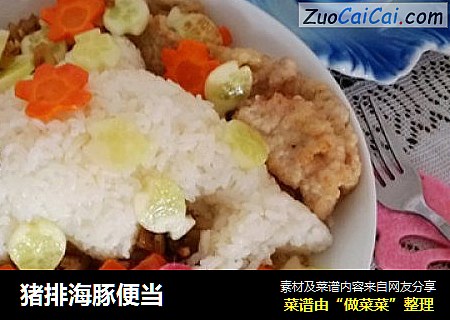 猪排海豚便当