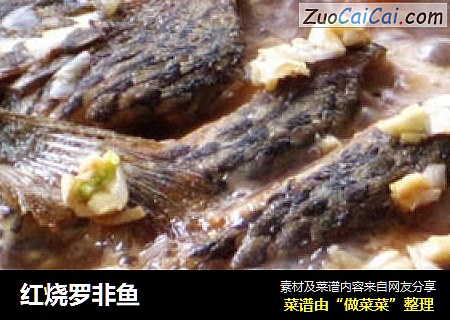 红烧罗非鱼
