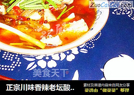 正宗川味香辣老坛酸菜鱼