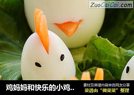 鸡妈妈和快乐的小鸡们~~~白煮蛋的华丽变身