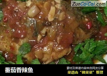 番茄香辣鱼