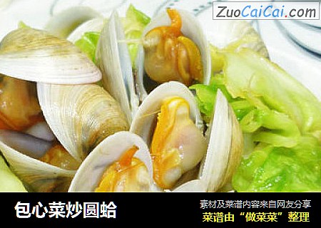 包心菜炒圆蛤