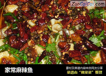家常麻辣鱼
