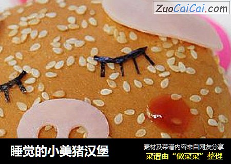 睡觉的小美猪汉堡